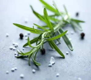 Rosemary