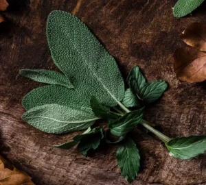 Sage Leaves