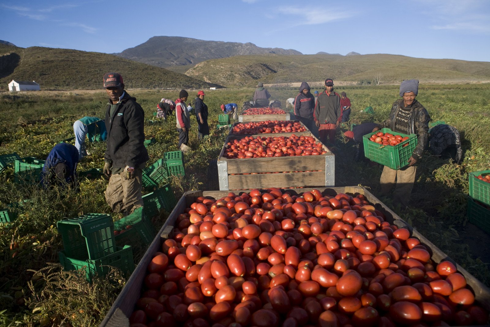 Hightly Selective Sourcing