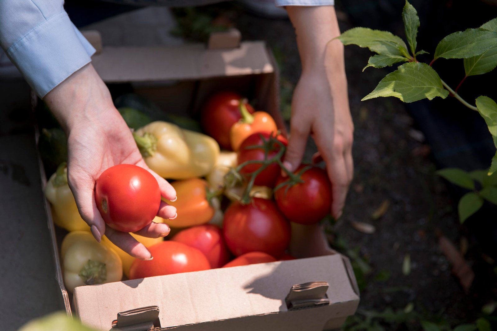 Hightly Selective Sourcing